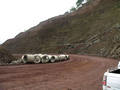 Foto 02